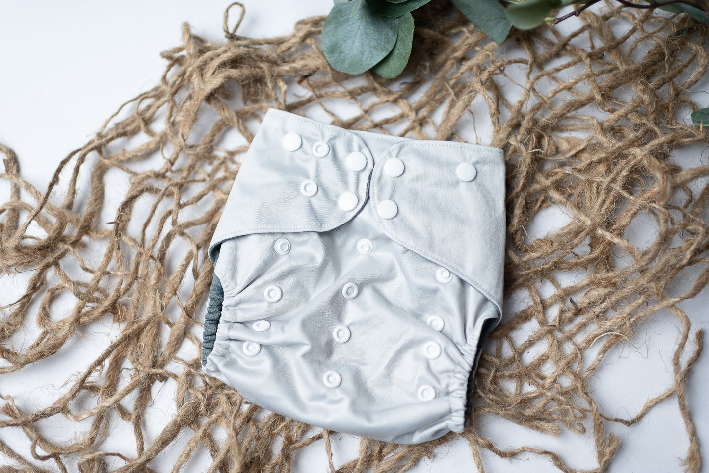 {FIVE} Spring Solids