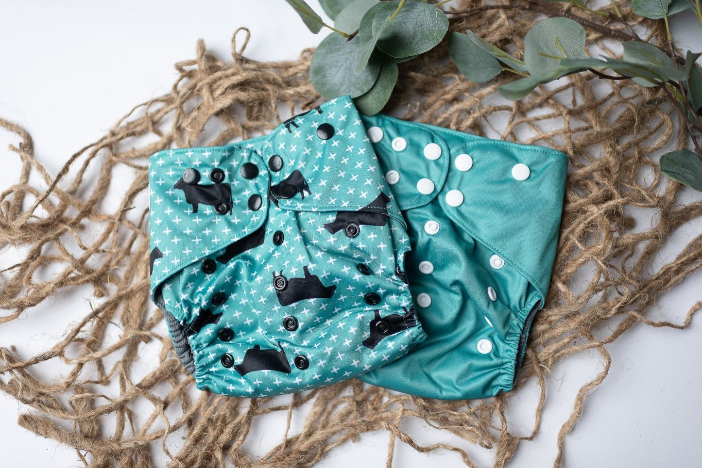 Angus Crossing Teal - Exclusive