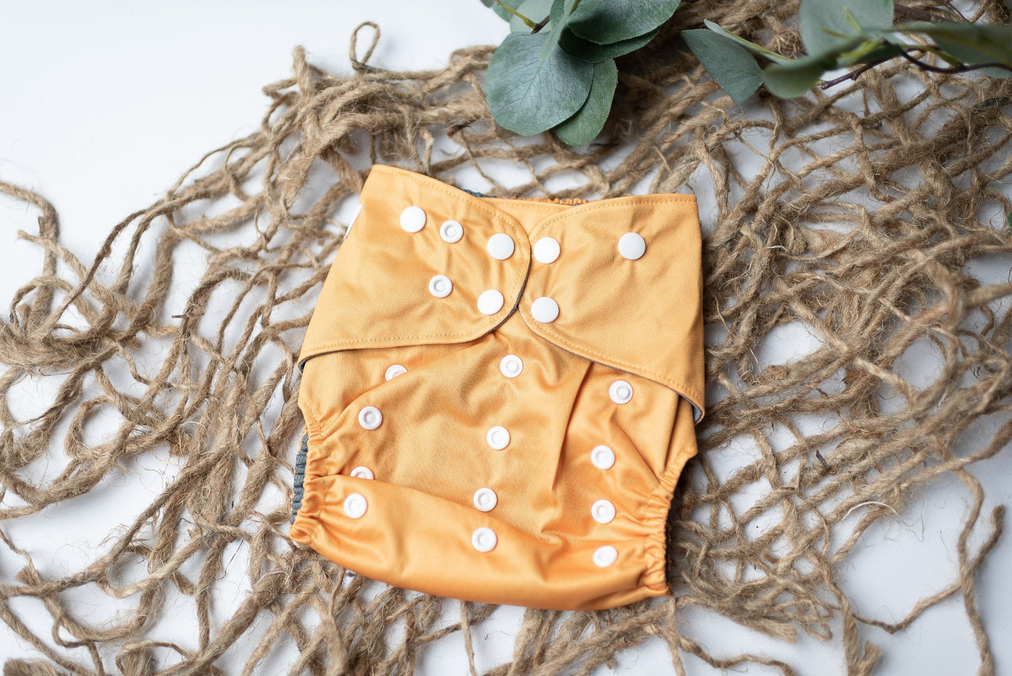 {FIVE} Spring Solids