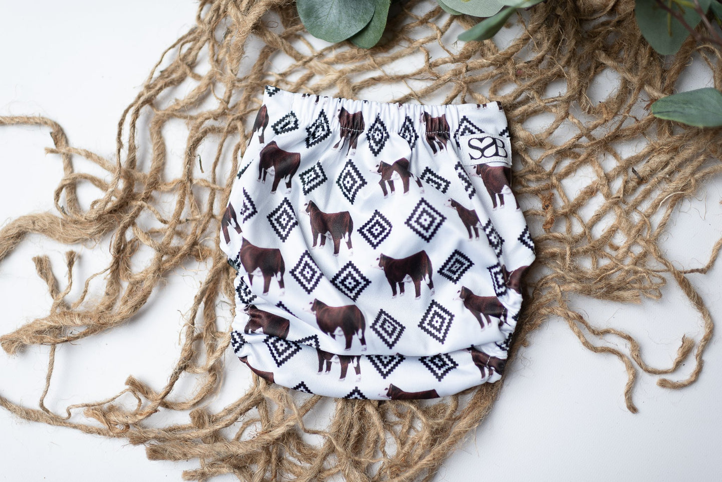 Hereford Bull Aztec