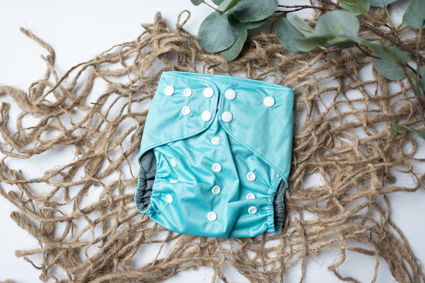 {FIVE} Spring Solids