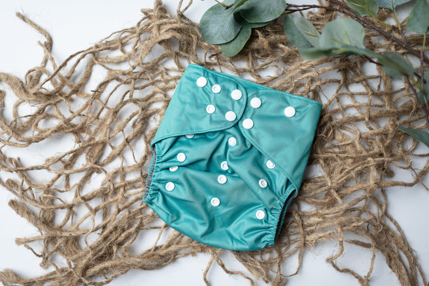 {FIVE} Spring Solids