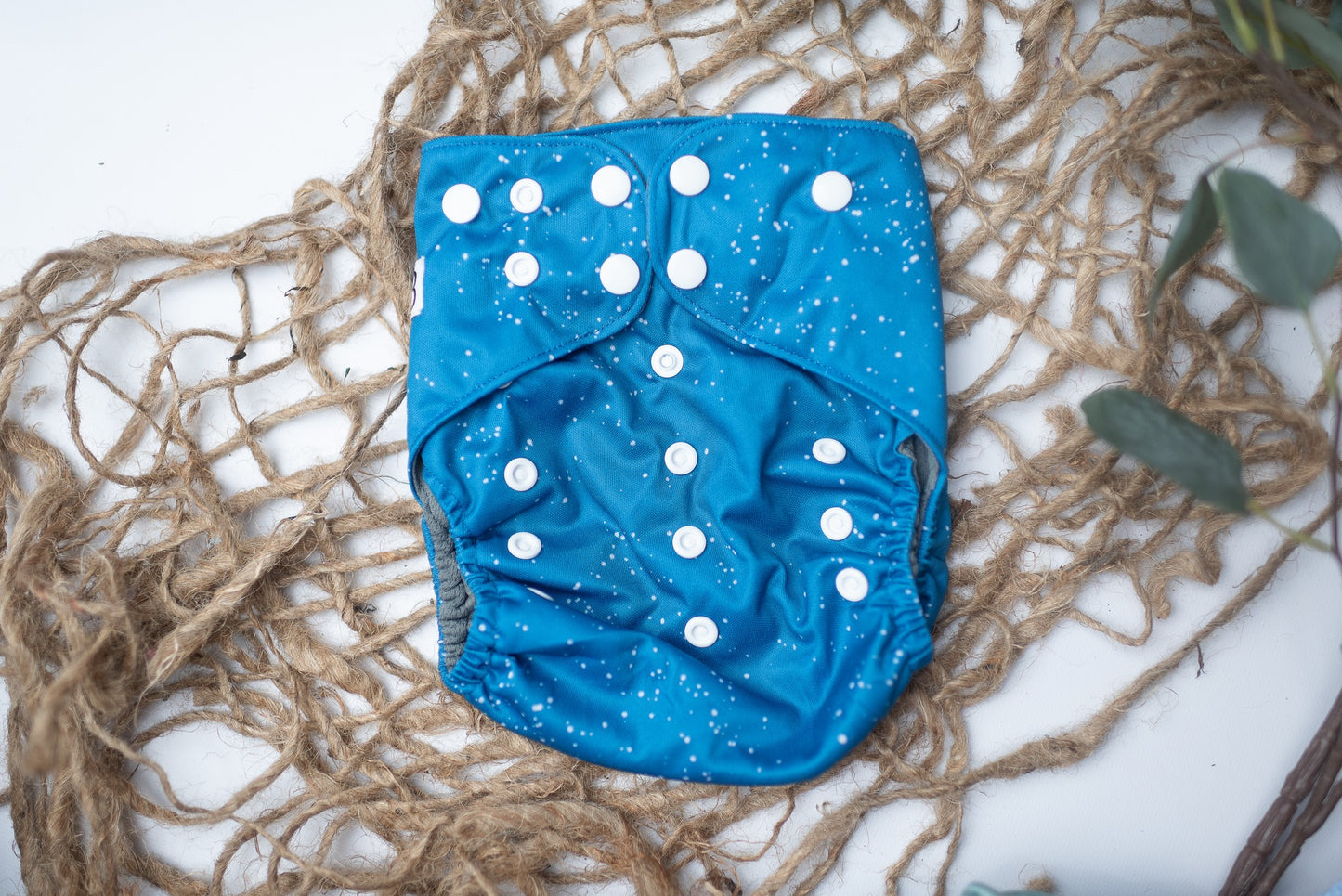 Snowy Blue - Exclusive