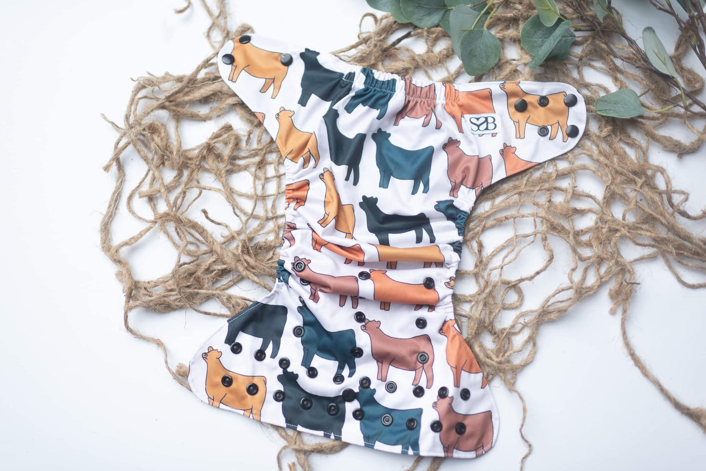 Fall Cows Exclusive
