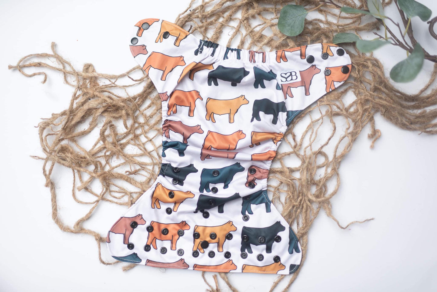Fall Steers Exclusive