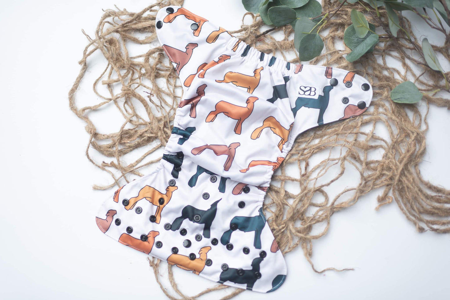 Fall Lambs Exclusive