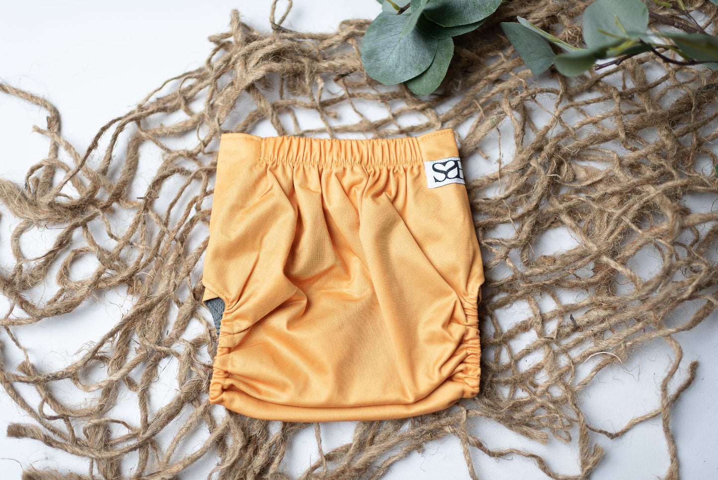{FIVE} Spring Solids