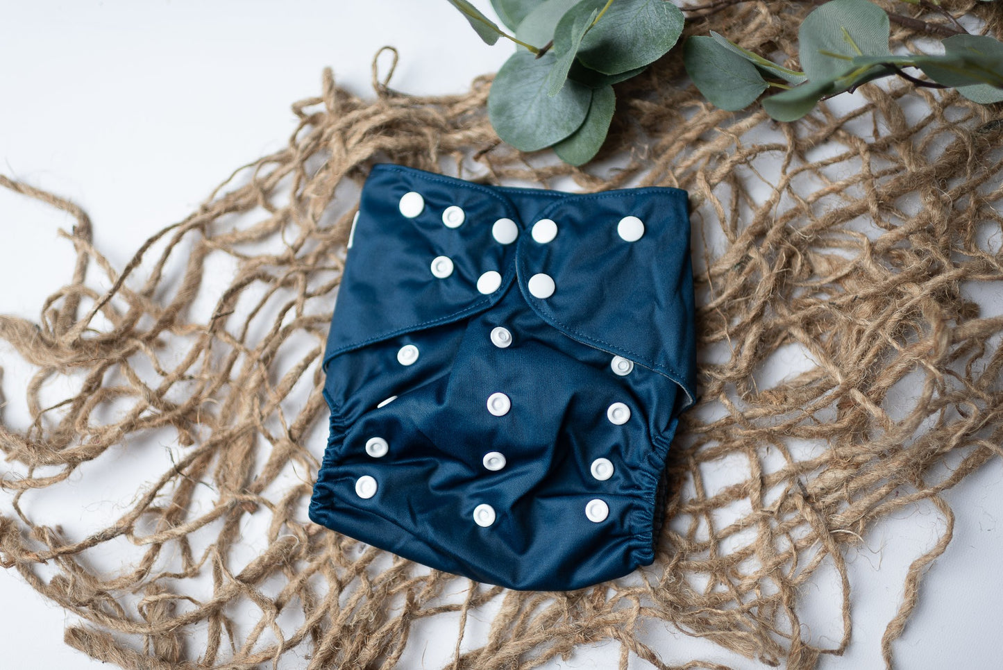 {FIVE} Spring Solids