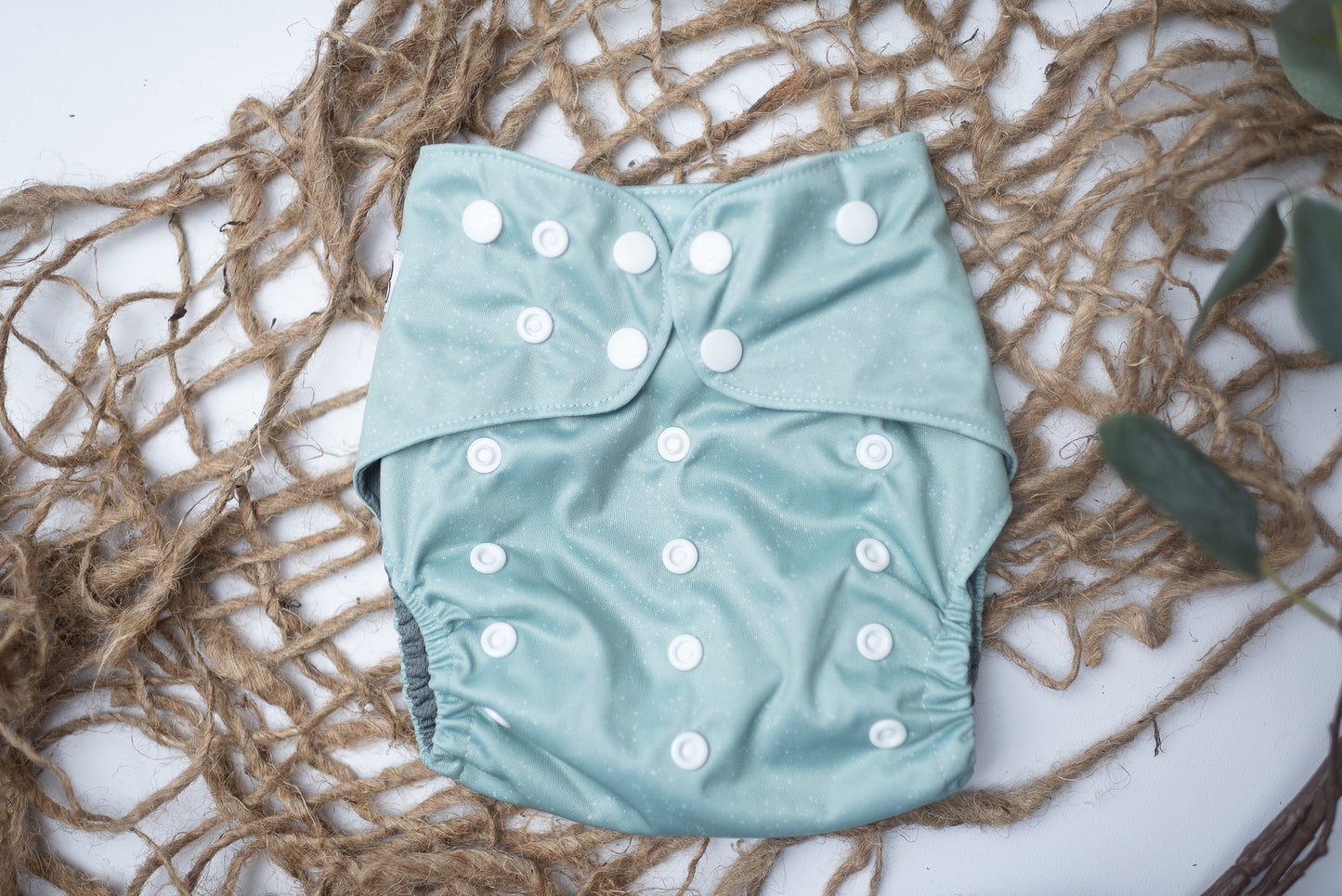 Snowy Mint - Exclusive