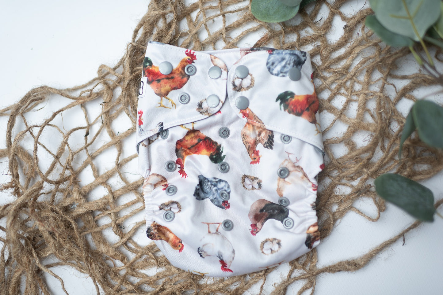 The Egg & The Chicken