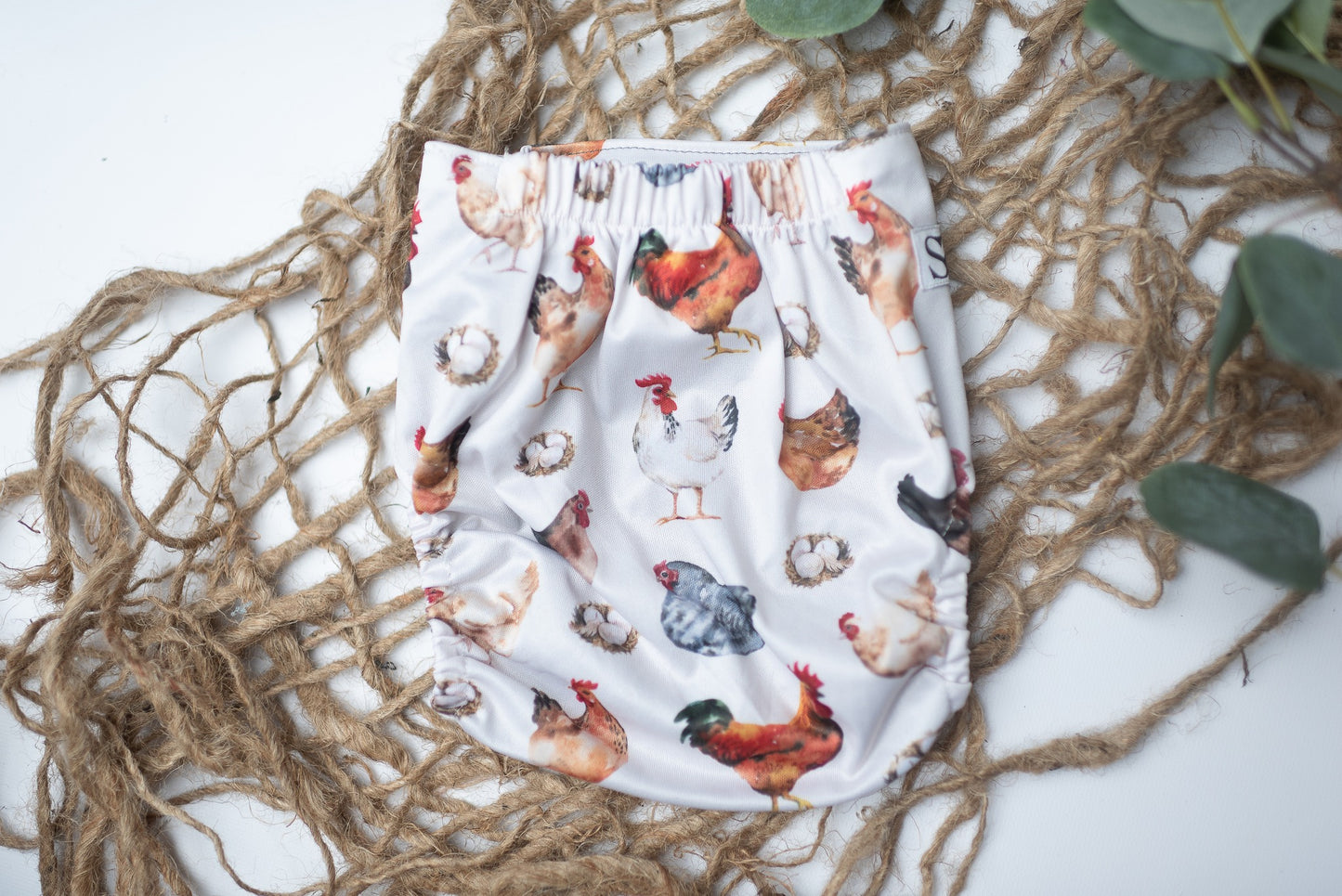 The Egg & The Chicken