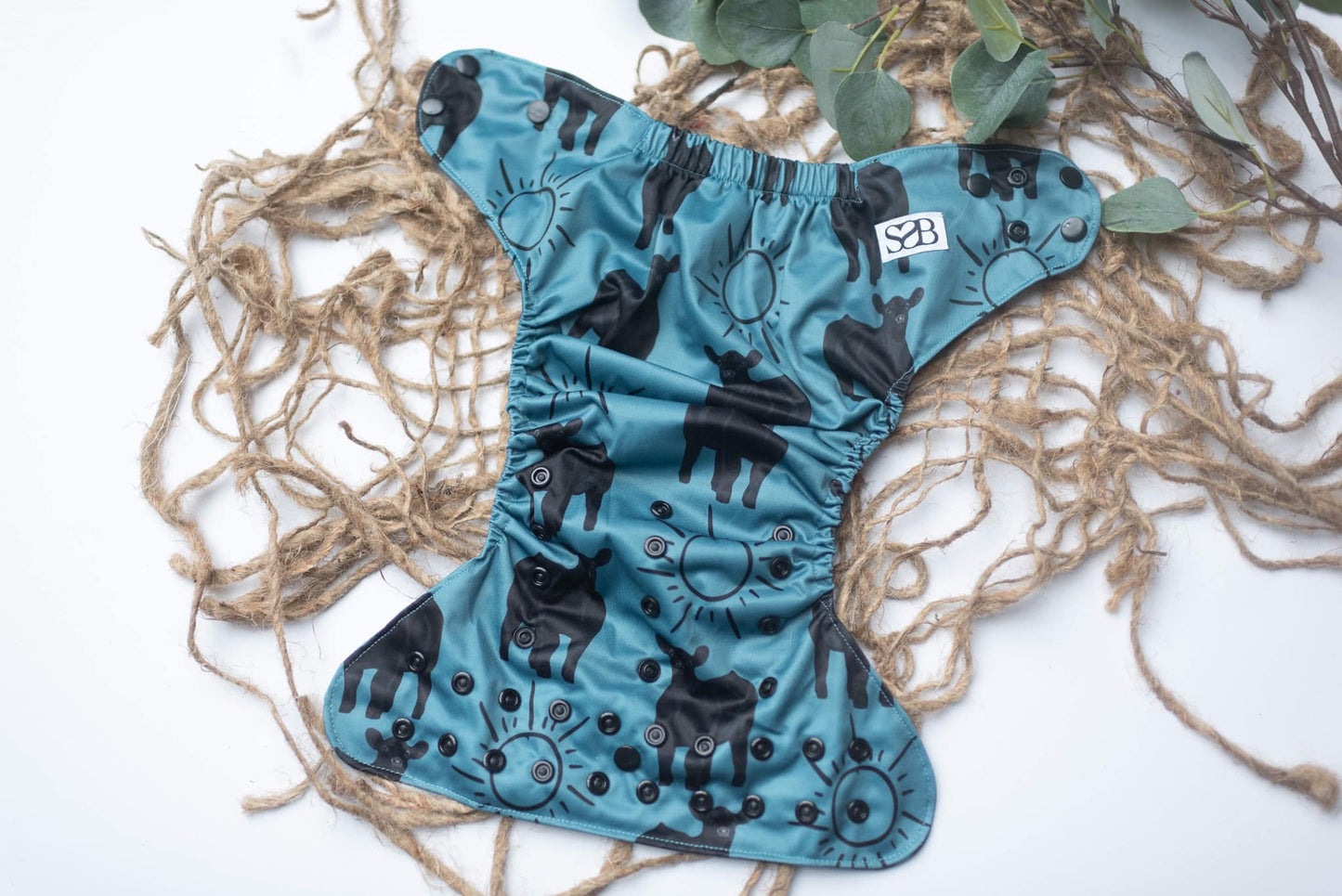 Pasture Rays - Angus Teal Exclusive